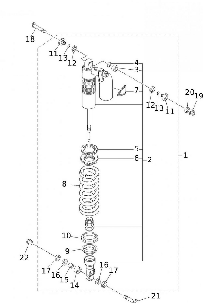 52884_10 Federbein hinten
