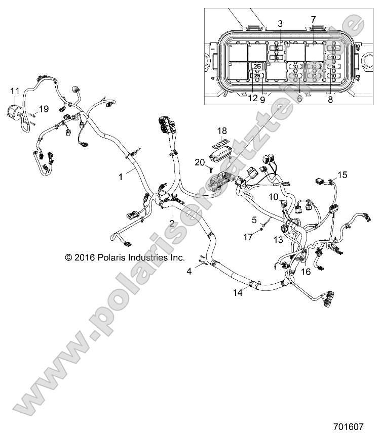 Electrical, Wire Harness