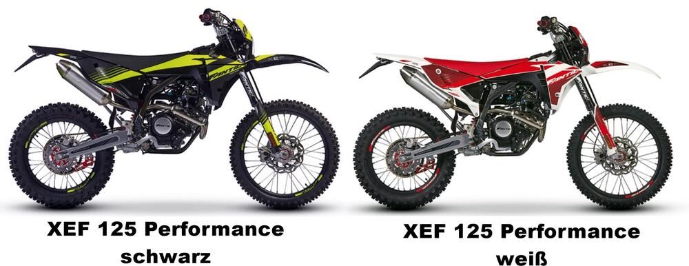 Fantic-XEF-125-Enduro-Performance-2023-24-uebersicht Fantic XEF 125 Enduro Performance 2023