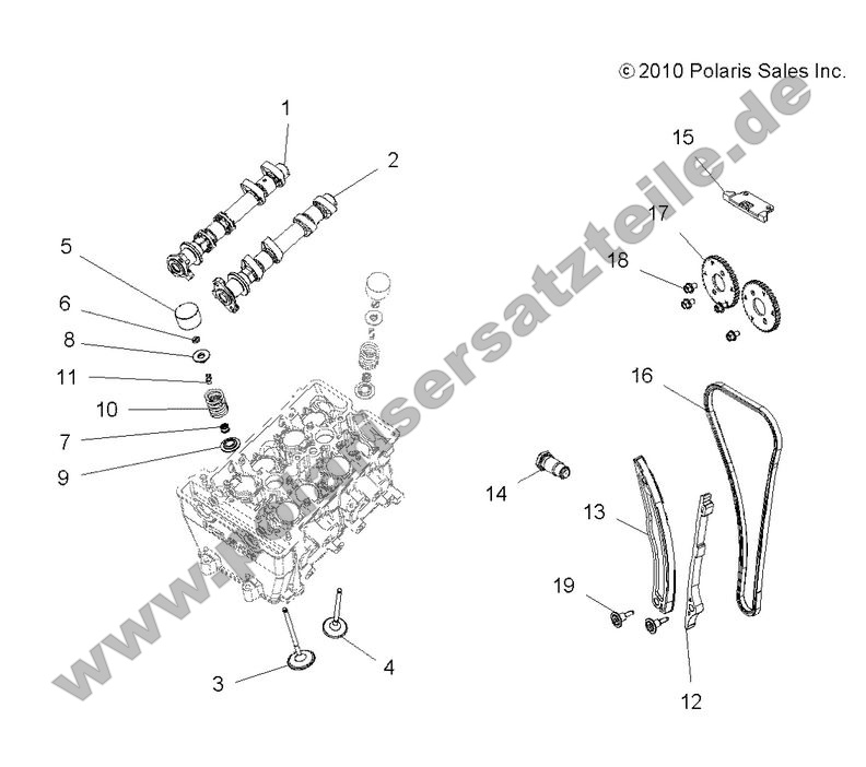 engine valves and camshafts